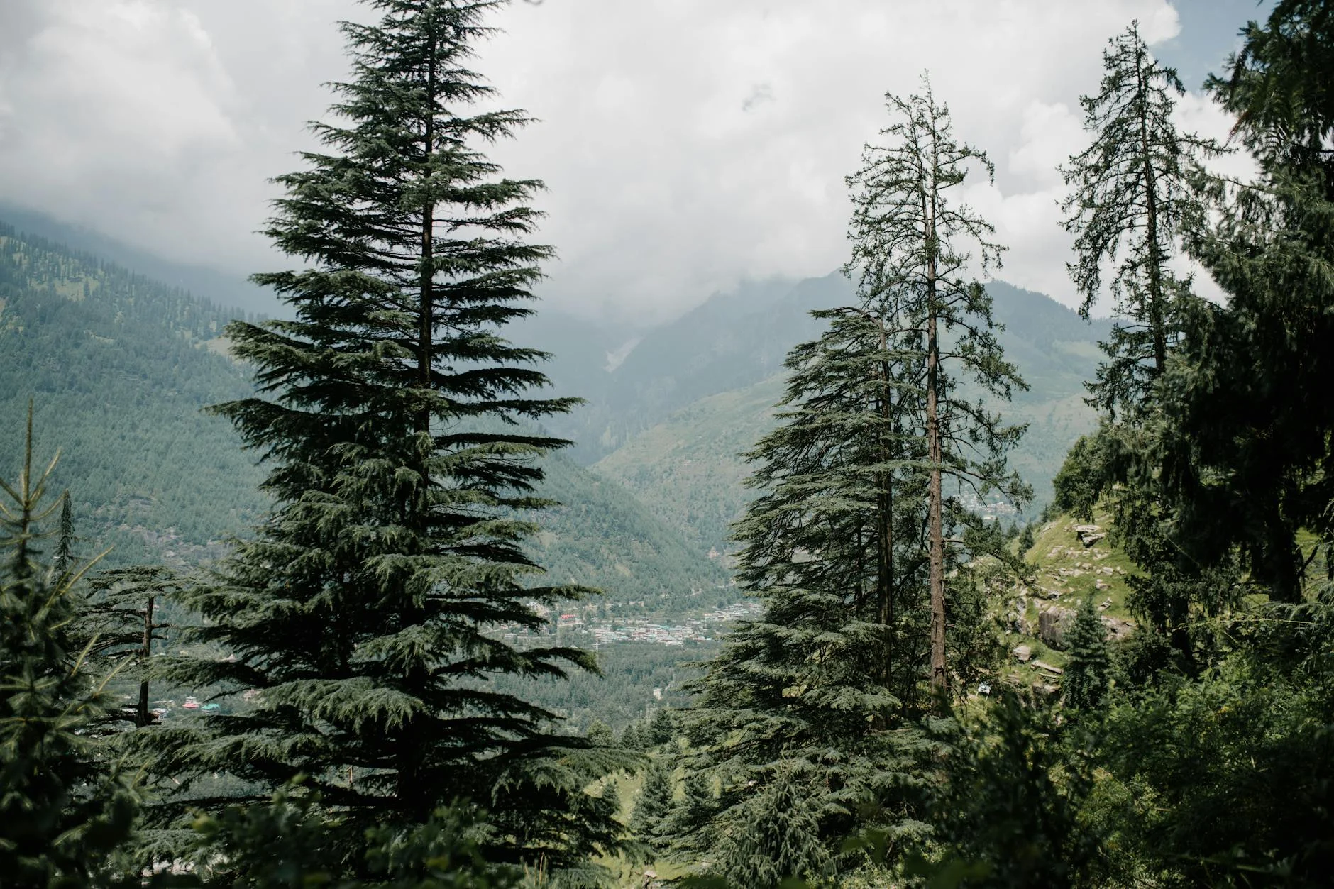 Best Viewpoints Kasauli Photography