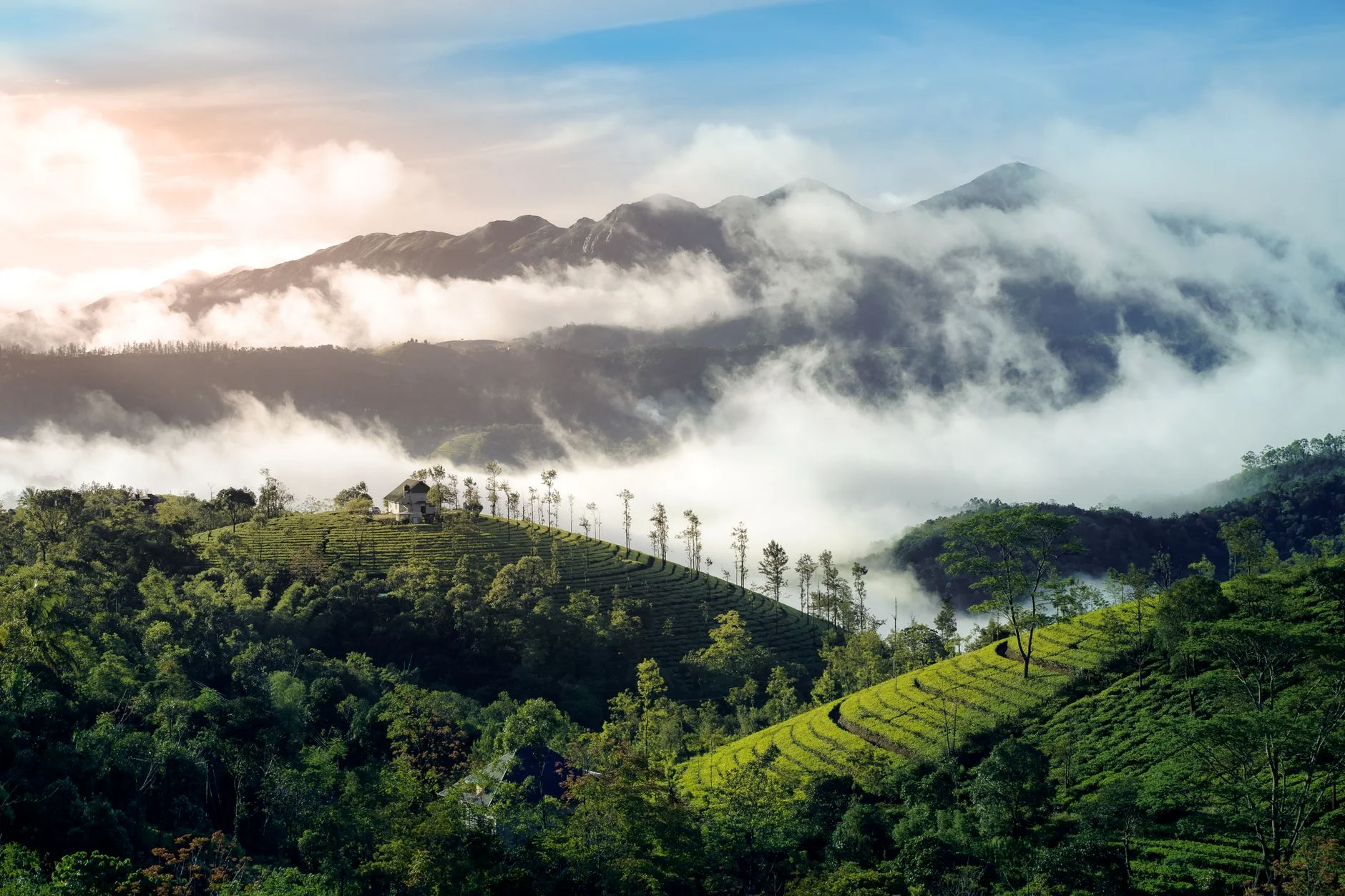 Kasauli Monsoon 2025