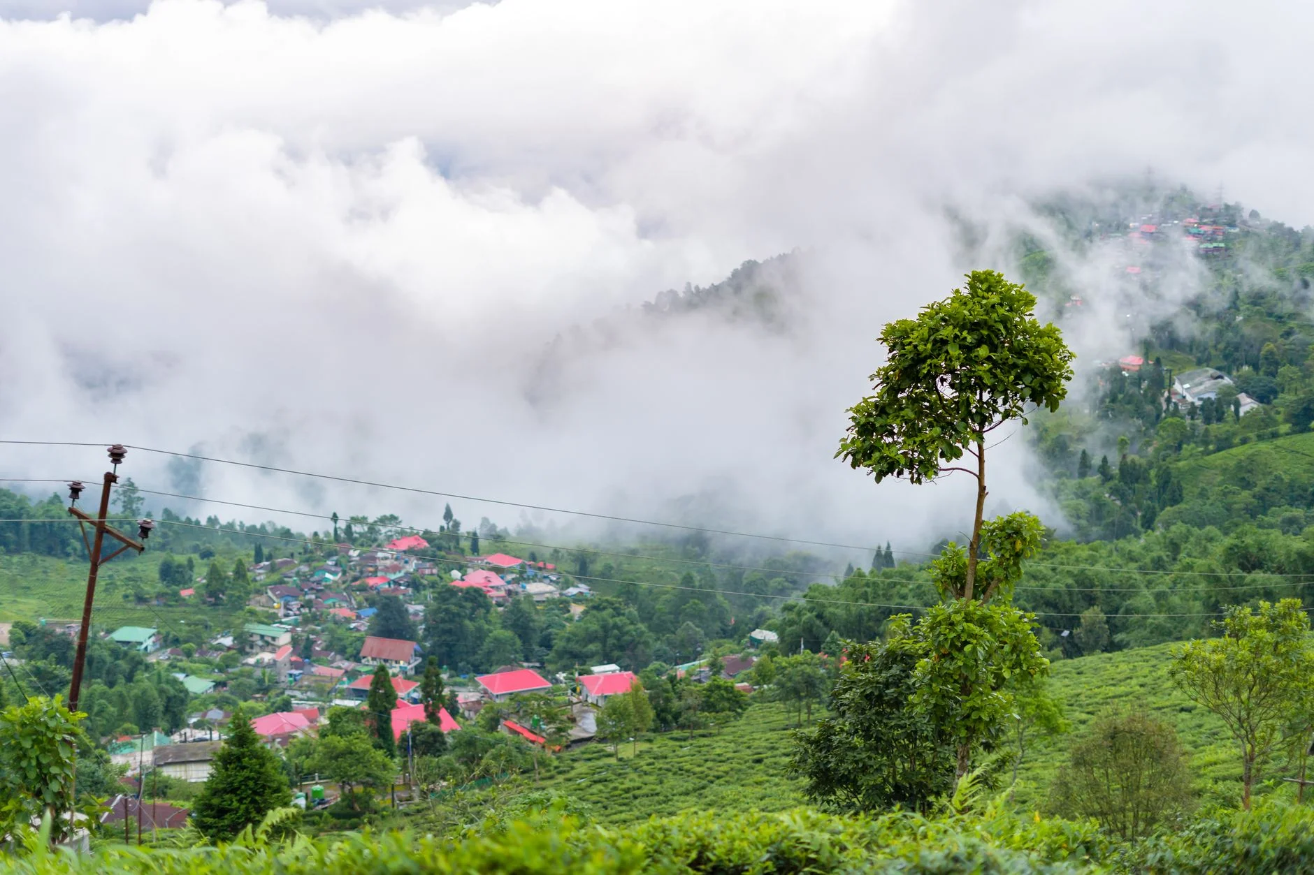 Kasauli Monsoon: What to Expect and How to Prepare | Luxury Guide