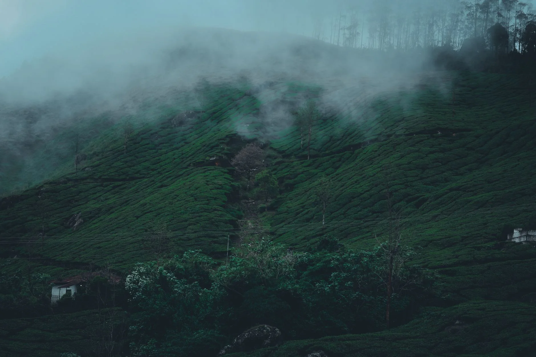 Kasauli Resort 2025: All‑Season Activities from Monsoon to Snow
