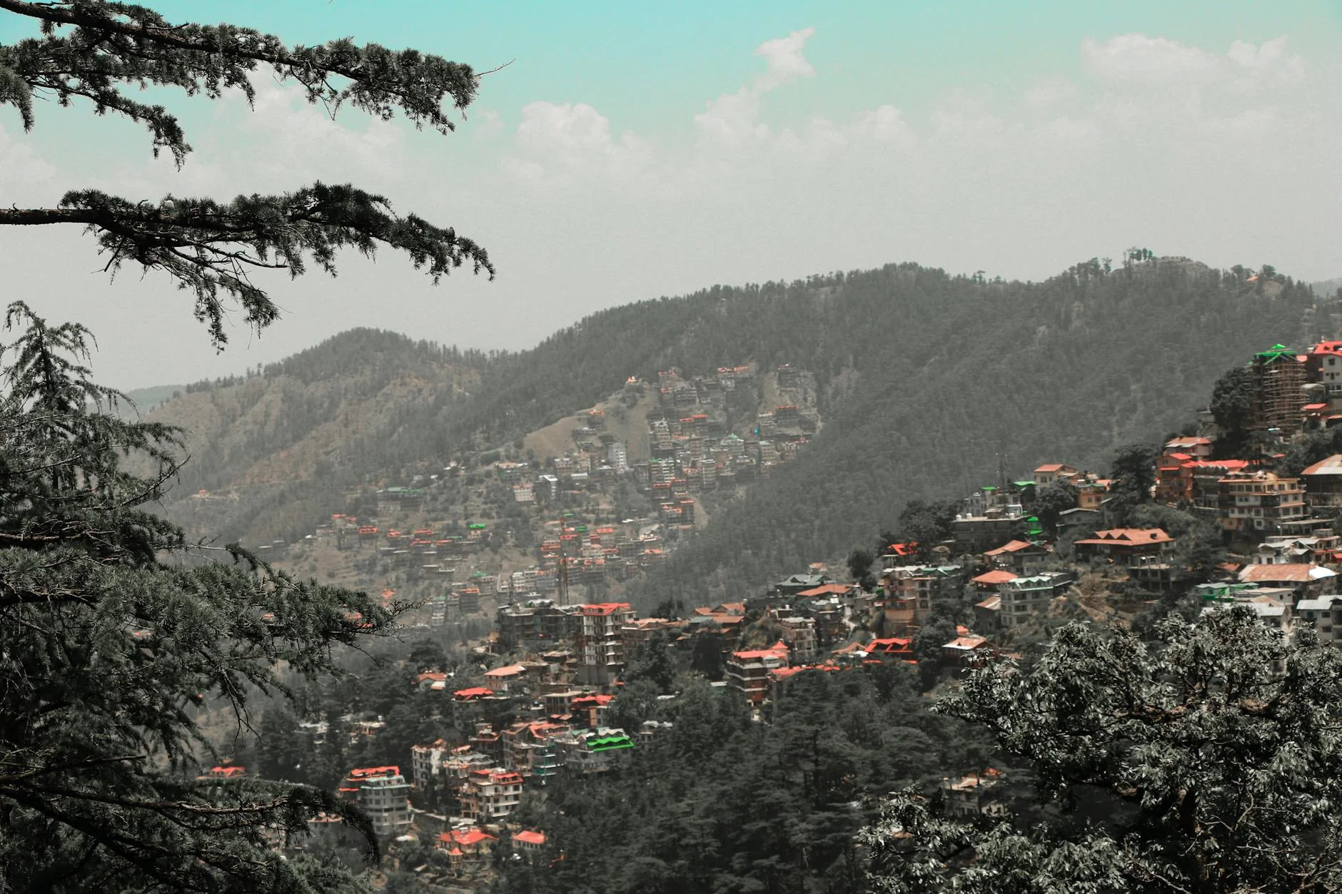 Kasauli Resort Near Parwanoo