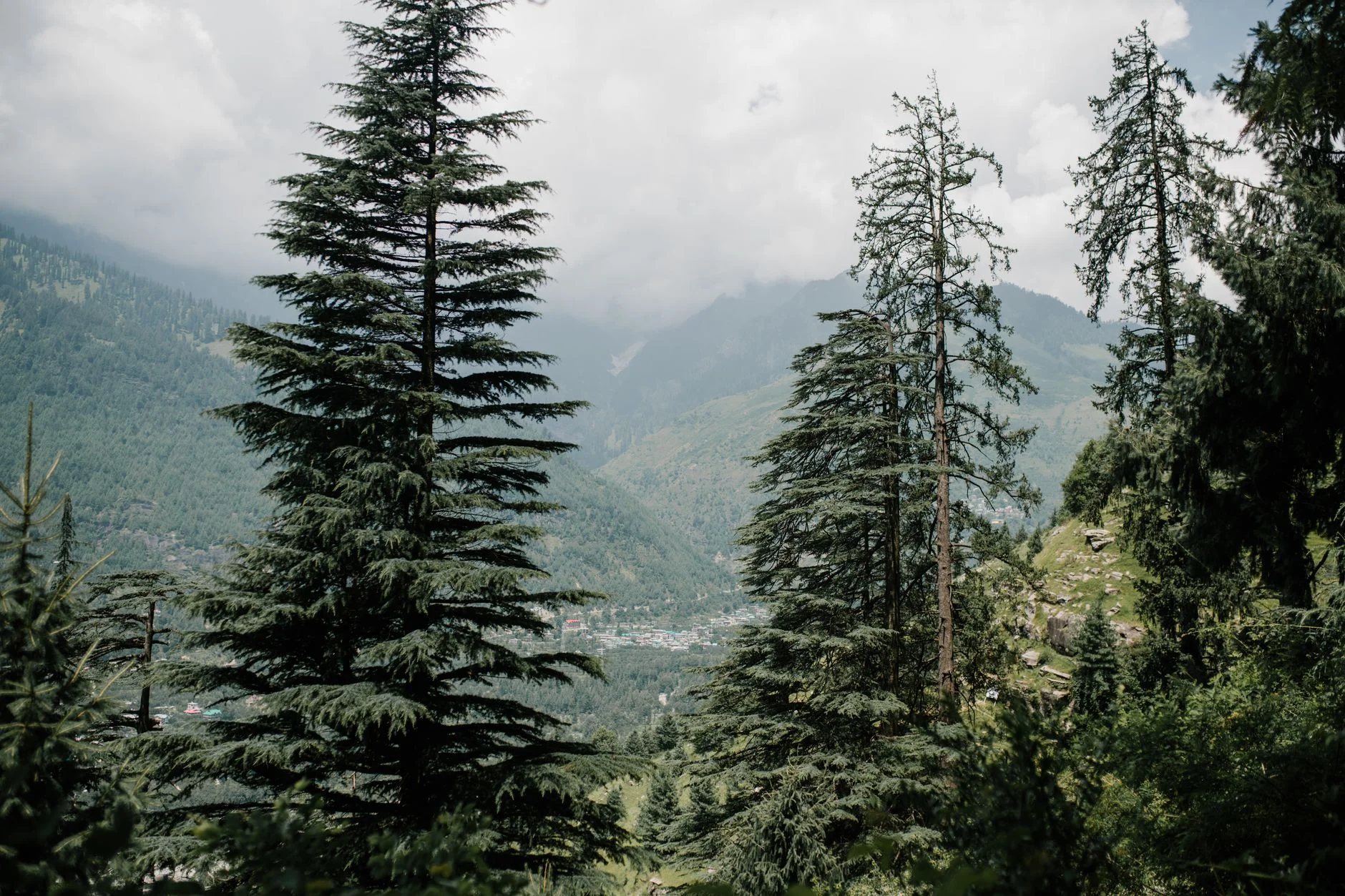 Kasauli Sightseeing: Must-Visit Places