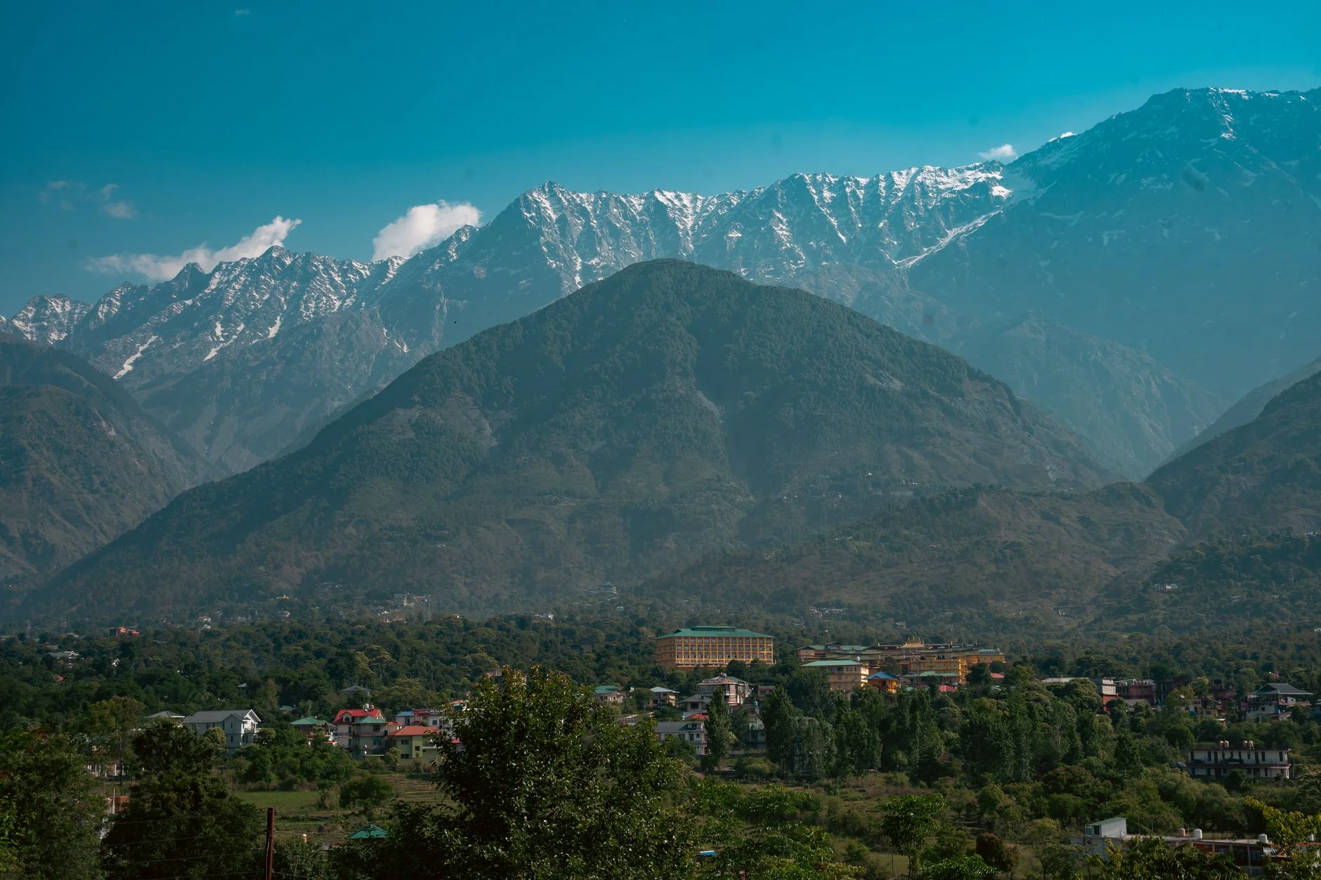 Kasauli Winter Snow 2026: Top Ski Trails, Snowy Walks & Cozy Resorts