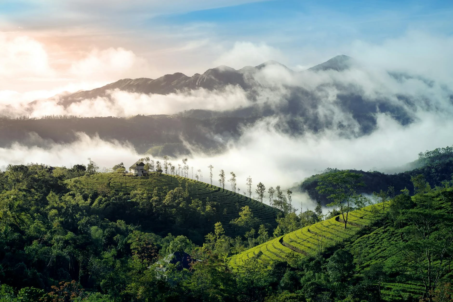 Monsoon Kasauli 2025: Travel Guide