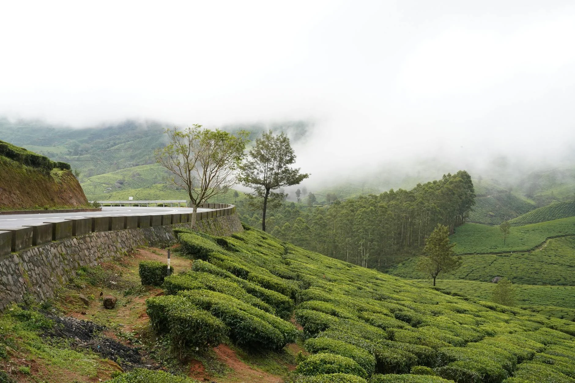 Monsoon Kasauli: Best Activities