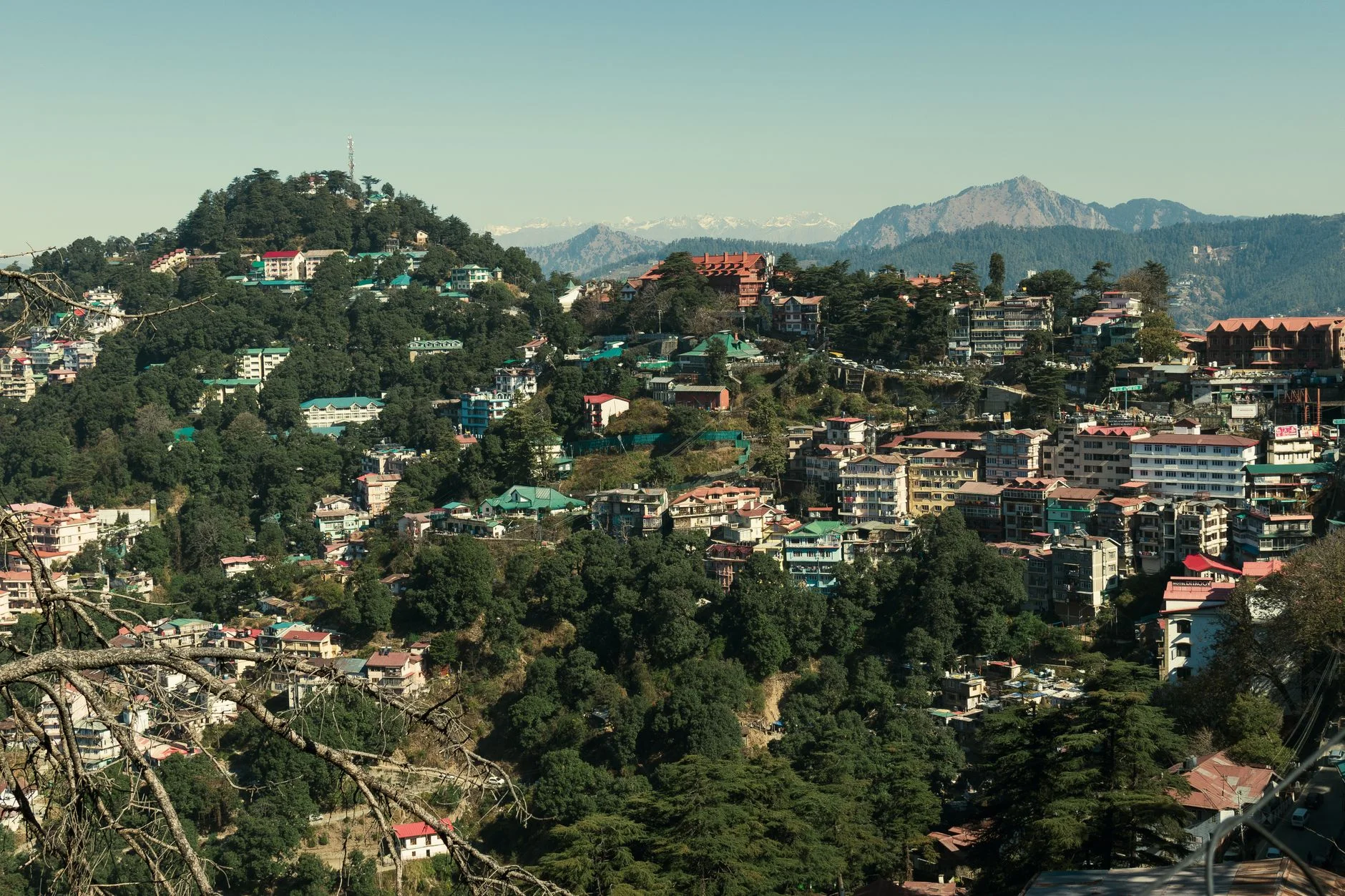 Reach Kasauli from Major Cities