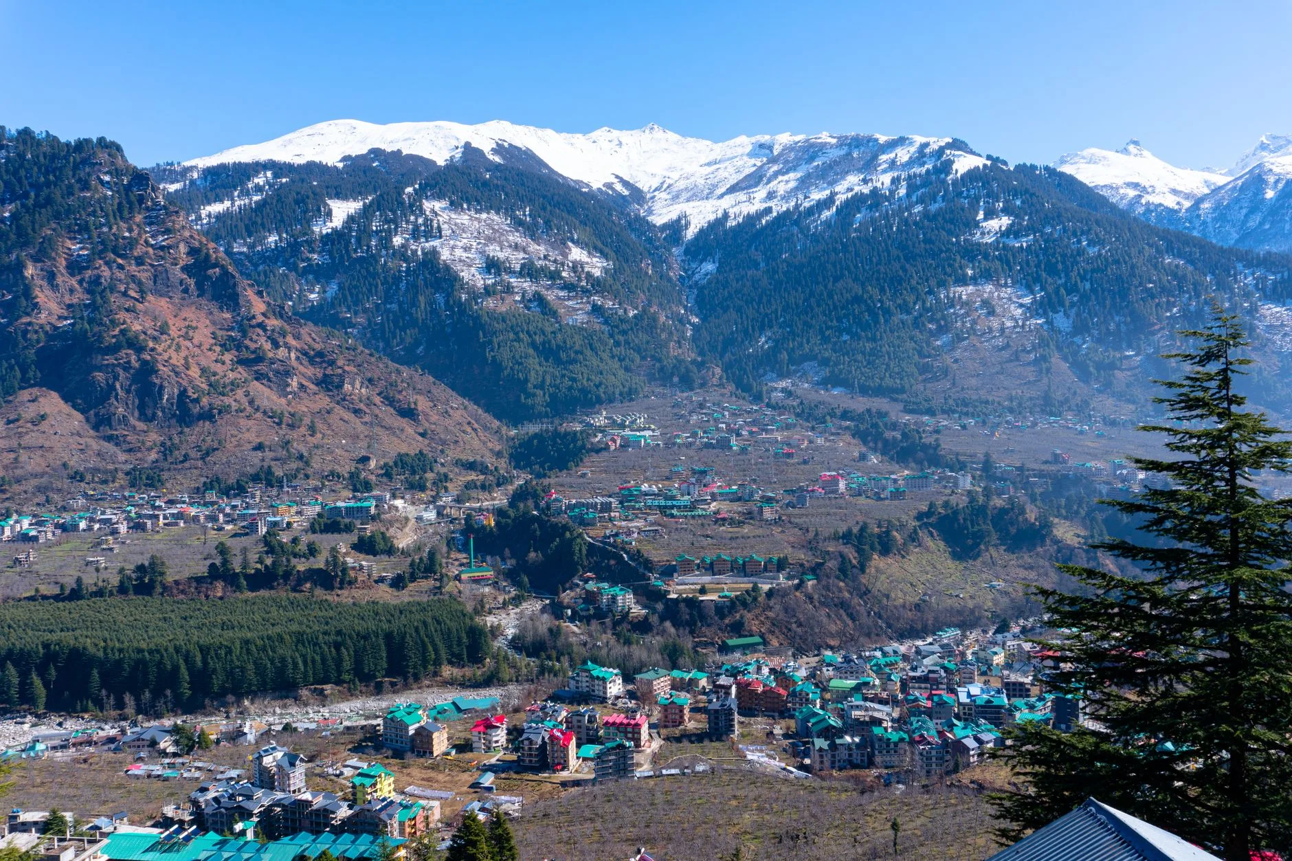 Reach Kasauli from Major Indian Cities: Complete Travel Guide