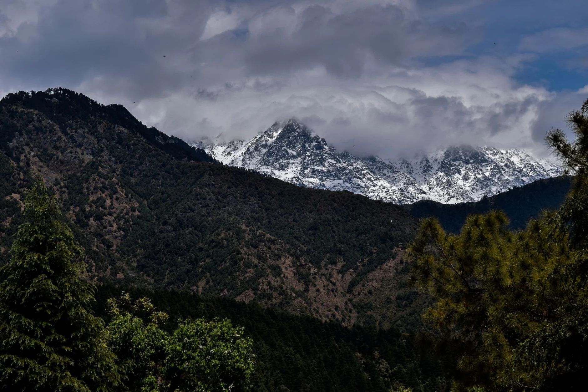 Solan District Resorts 2025: Top Luxury Stays Near Kasauli