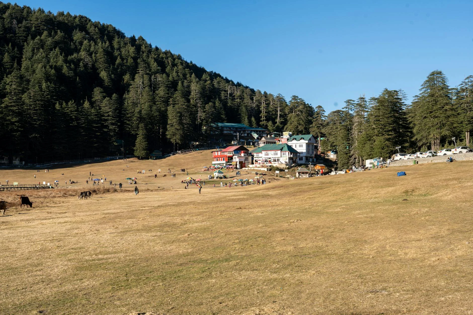 Solan Tourist Places 2025